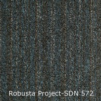 Robusta Project-SDN 572